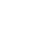 Icons8 evaluation 100